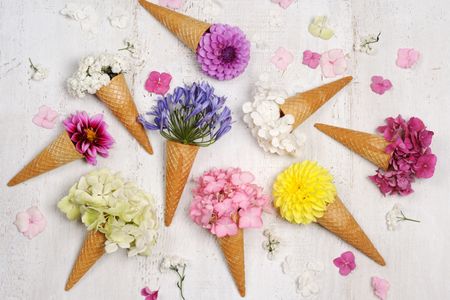 Floral Cones Delight — 400-piece jigsaw puzzle