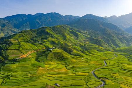 Verdant Terraced Hills — 100-piece jigsaw puzzle