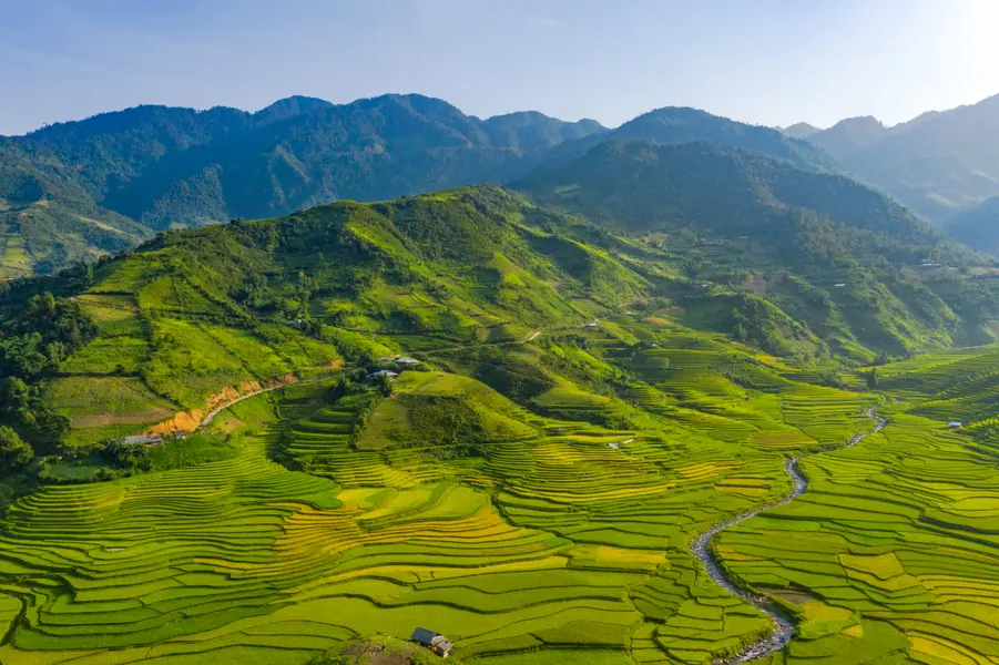 Verdant Terraced Hills — 100-piece jigsaw puzzle