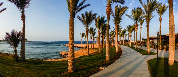 Oceanfront Palm Pathway — 150-piece jigsaw puzzle