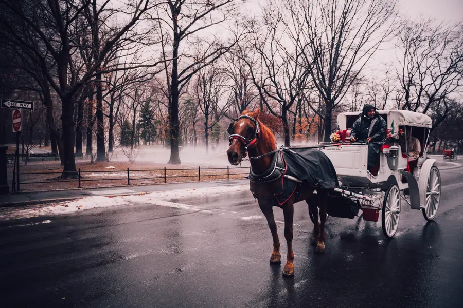 Misty Carriage Ride — 300-piece jigsaw puzzle