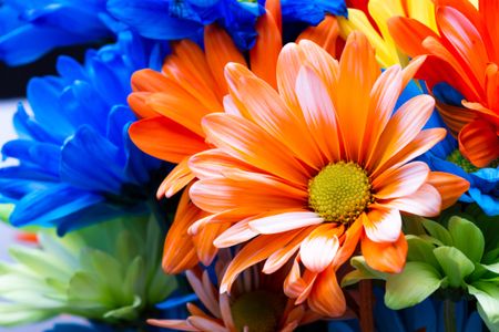 Vibrant Floral Symphony — 150-piece jigsaw puzzle