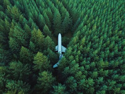 Avião na floresta — quebra-cabeça de 150 peças