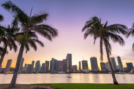 Tropical Skyline Twilight — 100-piece jigsaw puzzle