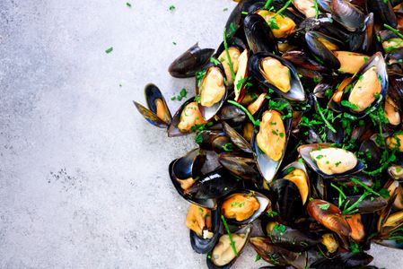 Freshly Cooked Mussels — 100-piece jigsaw puzzle