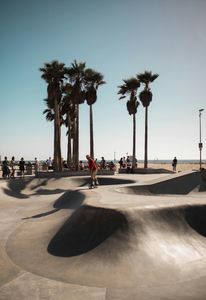 Skateboarding Under Palms — 300-piece jigsaw puzzle