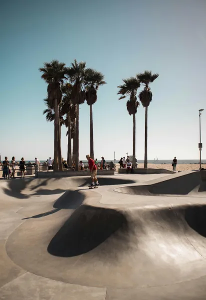 Skateboarding Under Palms — 300-piece jigsaw puzzle
