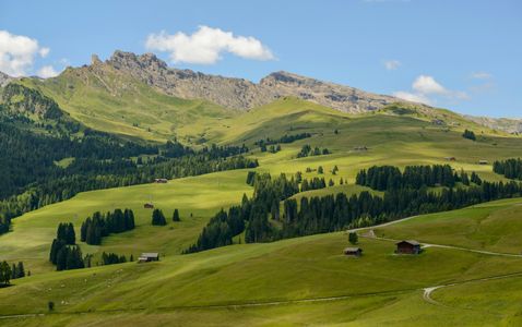 Rolling Alpine Meadows — 100-piece jigsaw puzzle