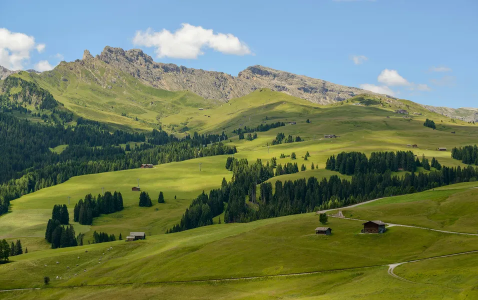 Praterie alpine ondulate — puzzle da 100 pezzi