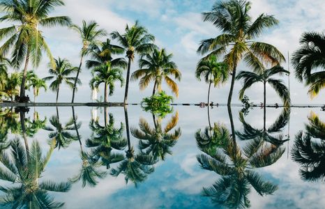 Reflections of Paradise — 100-piece jigsaw puzzle