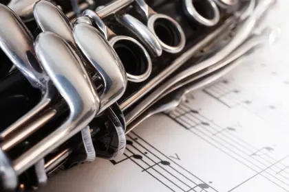 Clarinet's Melody — 300-piece jigsaw puzzle