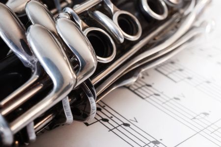 Clarinet's Melody — 300-piece jigsaw puzzle