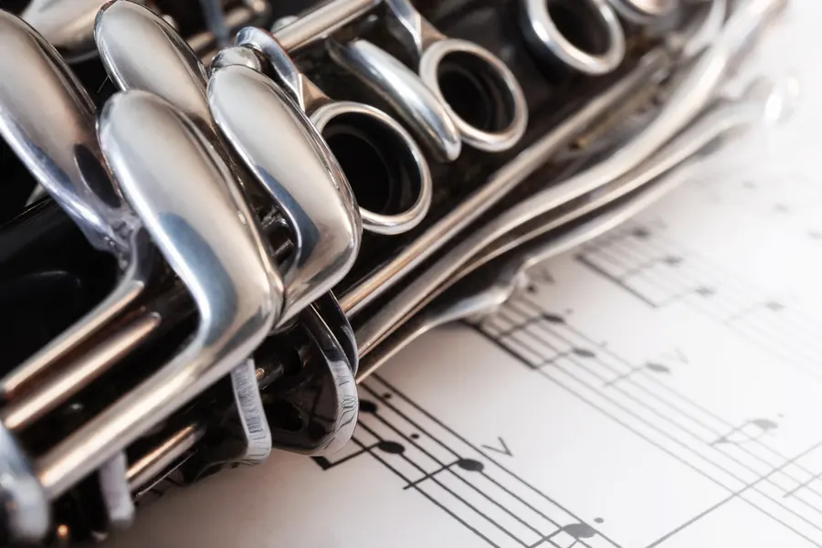 Clarinet's Melody — 300-piece jigsaw puzzle