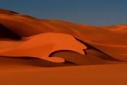 Golden Desert Waves — 200-piece jigsaw puzzle