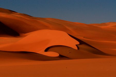 Golden Desert Waves — 200-piece jigsaw puzzle