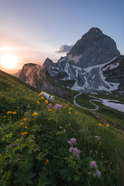 Alpine Sunrise Splendor — 150-piece jigsaw puzzle
