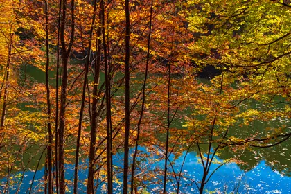 Autumn Reflections — 400-piece jigsaw puzzle