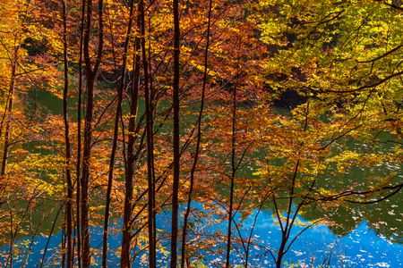 Autumn Reflections — 400-piece jigsaw puzzle