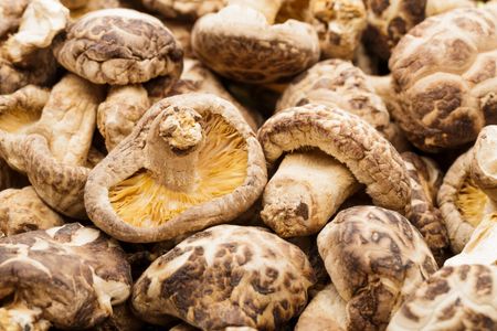 Earthy Shiitake Abundance — 200-piece jigsaw puzzle