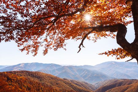 Autumn Sunlit Mountains — 400-piece jigsaw puzzle