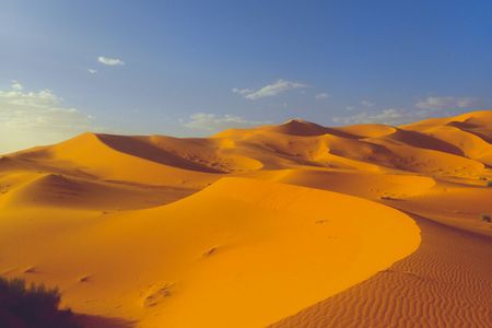 Golden Desert Waves — 300-piece jigsaw puzzle
