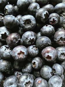 Abundant Blueberries — 500-piece jigsaw puzzle