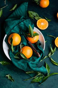 Citrus Harmony — 300-piece jigsaw puzzle