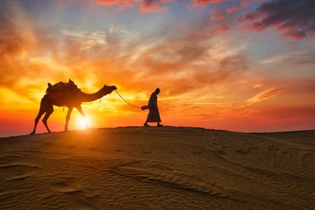 Desert Sunset Journey — 150-piece jigsaw puzzle