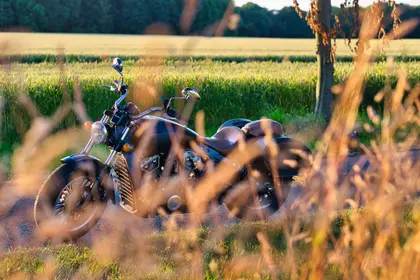 Motorcycle in Meadow — 300-piece jigsaw puzzle