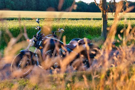 Motorcycle in Meadow — 300-piece jigsaw puzzle