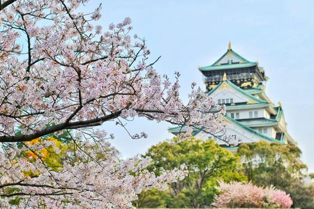 Cherry Blossoms and Castle — 100-piece jigsaw puzzle