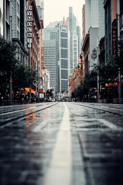 Urban Serenity — 100-piece jigsaw puzzle