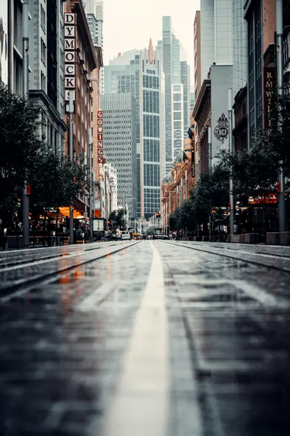 Urban Serenity — 100-piece jigsaw puzzle