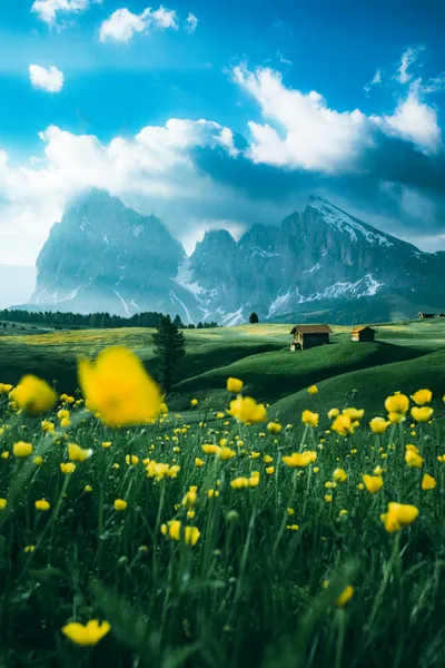 Bergwiesenblüte — 100-Teile-Puzzle