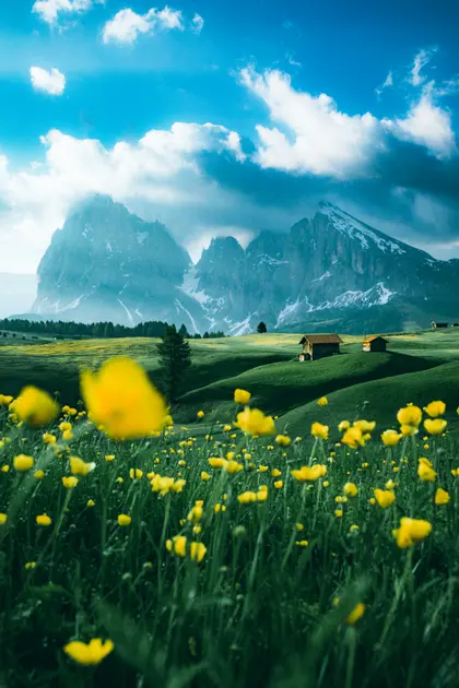 Mountain Meadow Bloom — 100-piece jigsaw puzzle