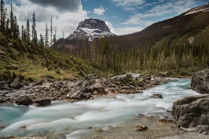 Majestic Mountain Stream — 100-piece jigsaw puzzle