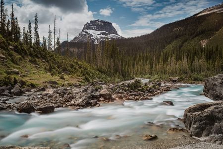 Majestic Mountain Stream — 100-piece jigsaw puzzle