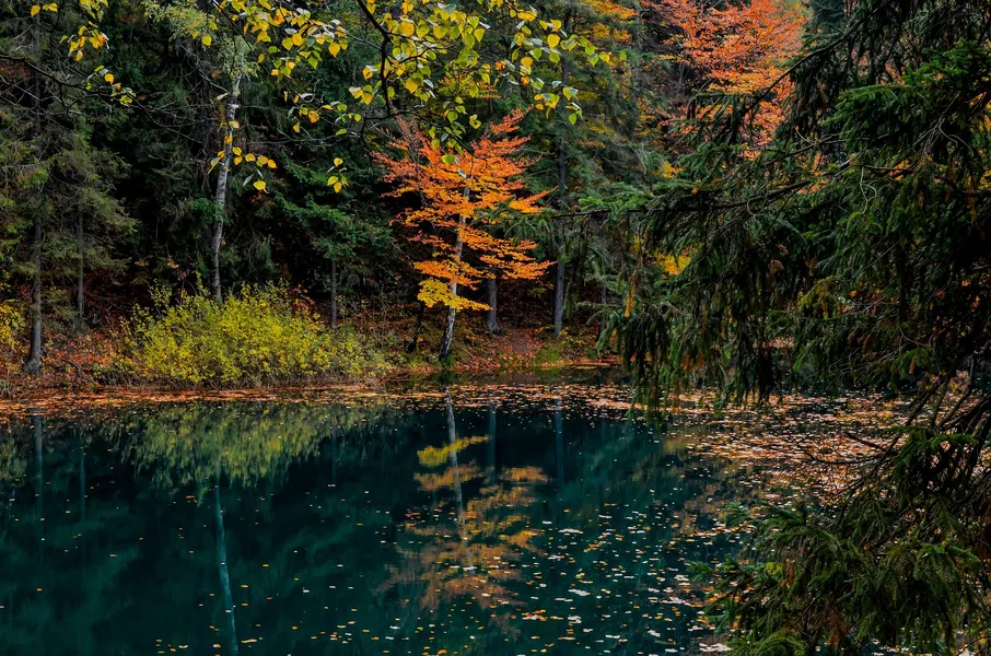 Autumn Reflections — 64-piece jigsaw puzzle