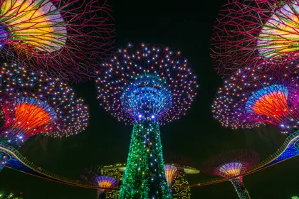 Illuminated Super Trees — 200-piece jigsaw puzzle