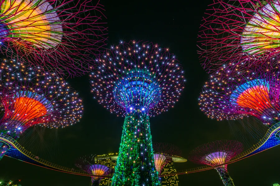 Illuminated Super Trees — 200-piece jigsaw puzzle