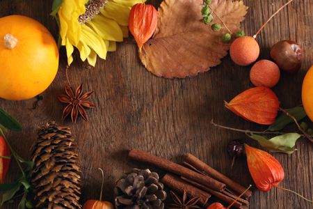 Autumn Harvest Delight — 200-piece jigsaw puzzle