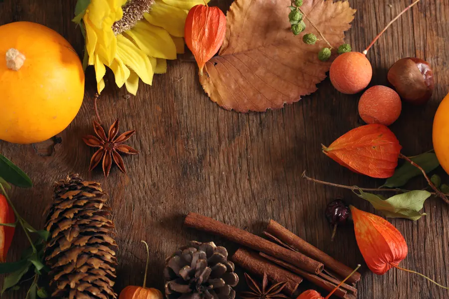 Autumn Harvest Delight — 200-piece jigsaw puzzle