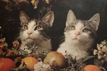 Curious Feline Duo — 198-piece jigsaw puzzle