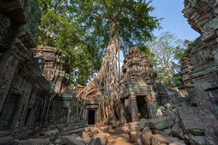 Ancient Ruins Embraced — 150-piece jigsaw puzzle