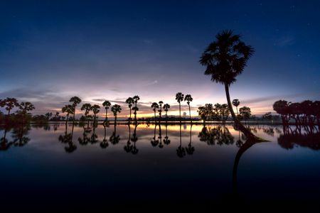 Serene Twilight Reflections — 200-piece jigsaw puzzle
