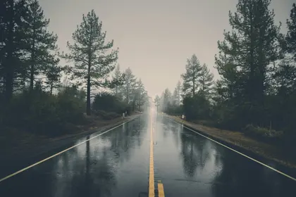 Foggy Forest Road — 64-piece jigsaw puzzle