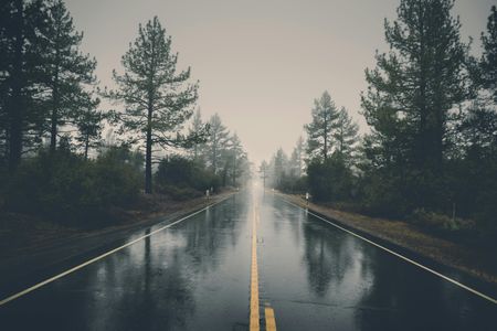 Foggy Forest Road — 64-piece jigsaw puzzle