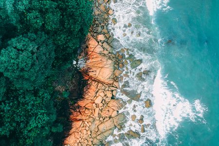 Coastal Harmony — 64-piece jigsaw puzzle