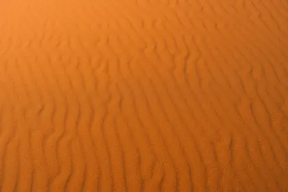 Golden Desert Waves — 300-piece jigsaw puzzle