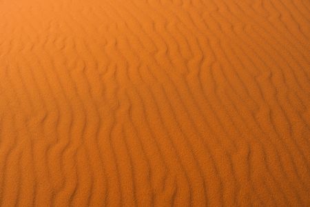 Golden Desert Waves — 300-piece jigsaw puzzle